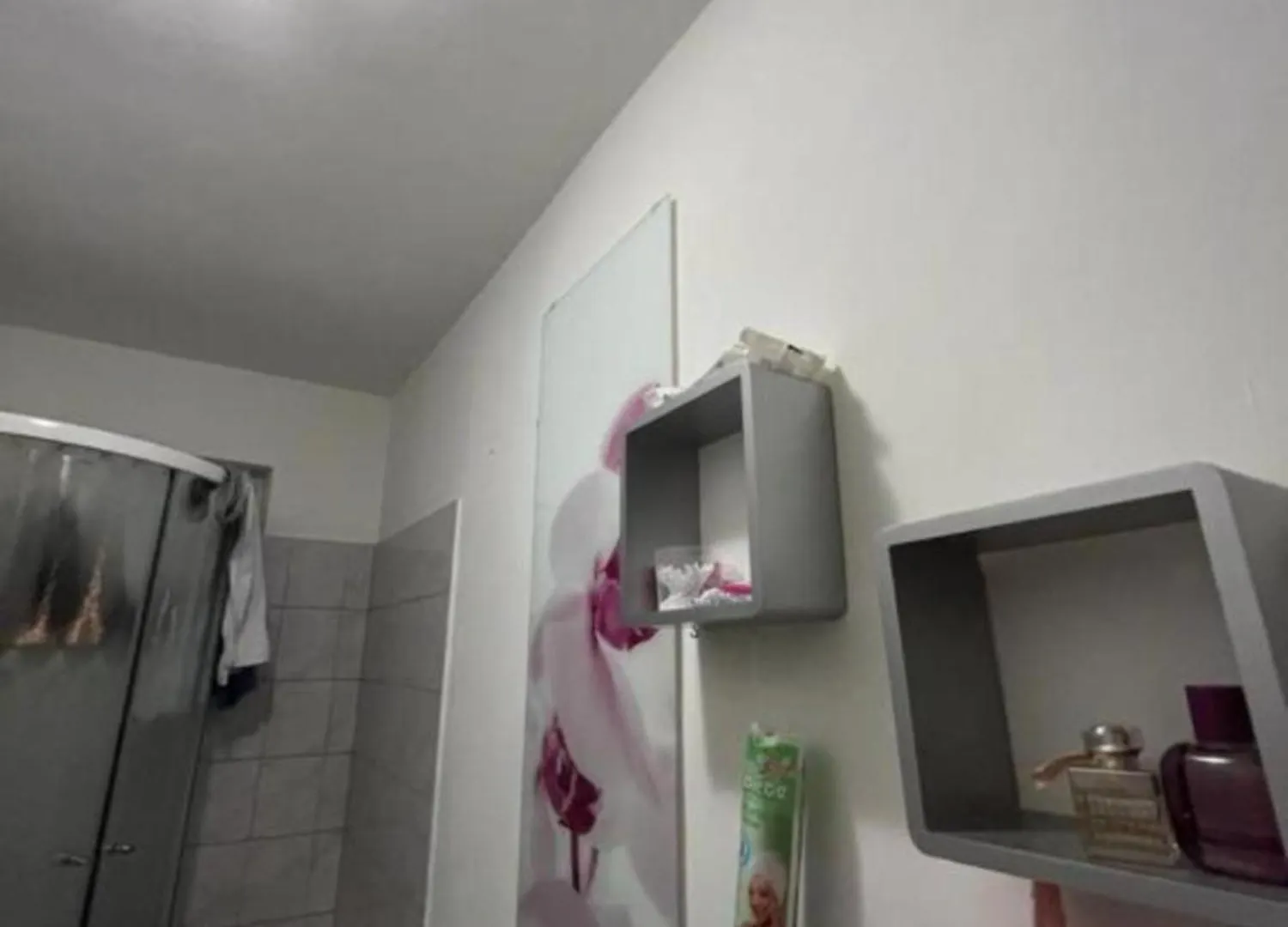 Apartment Tommy Zadar